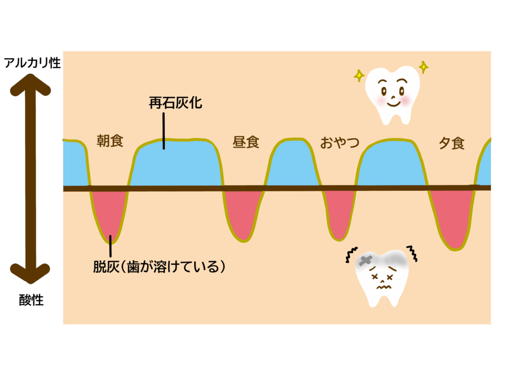 ステファンカーブの解説図