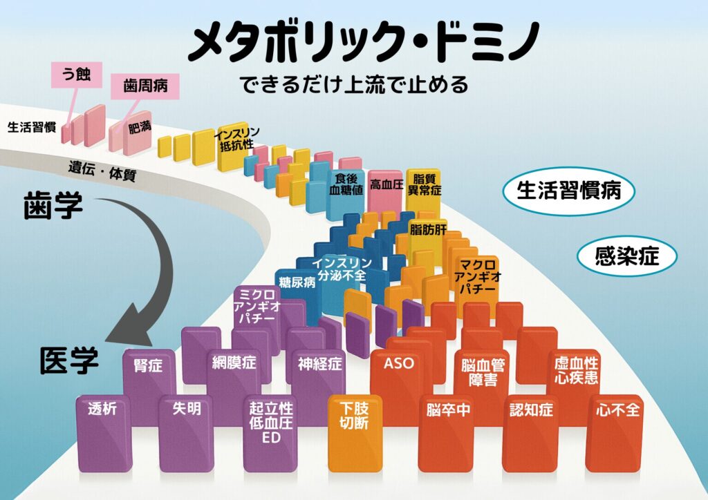 メタボリックドミノ